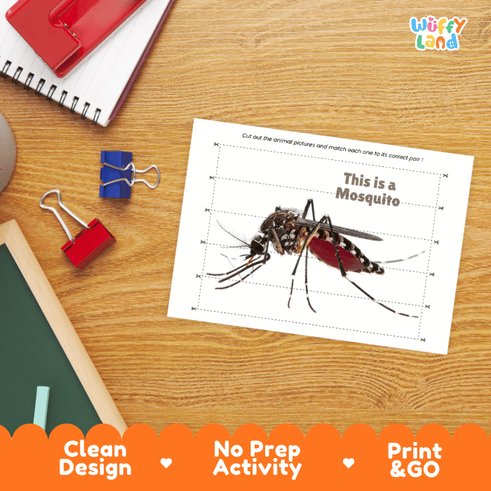 Mosquito Cut and Match Activity Printables Worksheets