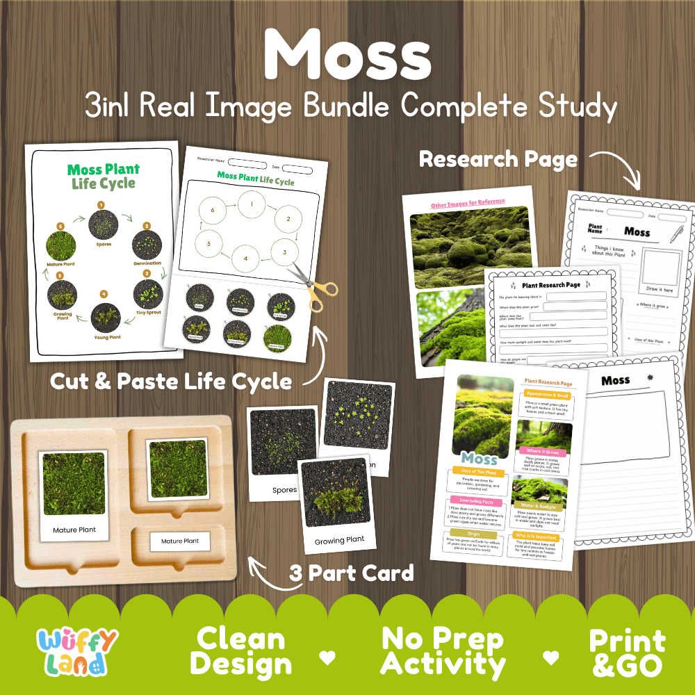 Moss plant 3in1 real image bundle complete study printable featuring life cycle cut and paste worksheets, Montessori 3-part cards, and research pages