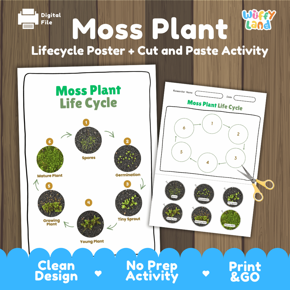 Moss Plant Lifecycle Poster and Cut and Paste Activity Worksheets | Plant Science Printables