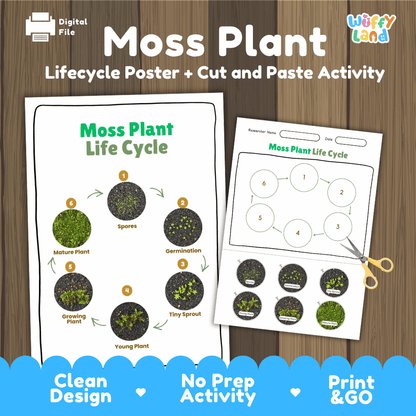 Moss Plant Lifecycle Poster and Cut and Paste Activity Worksheets | Plant Science Printables