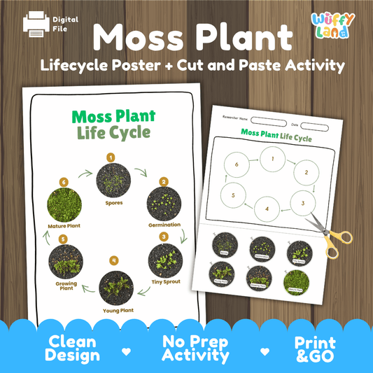Educational moss plant life cycle cut and paste sequencing worksheet with real photos showing spores, germination, tiny sprout, young plant, growing plant, and mature plant