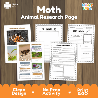 Moth Animal Research Page Worksheets and Fact Sheet Activity