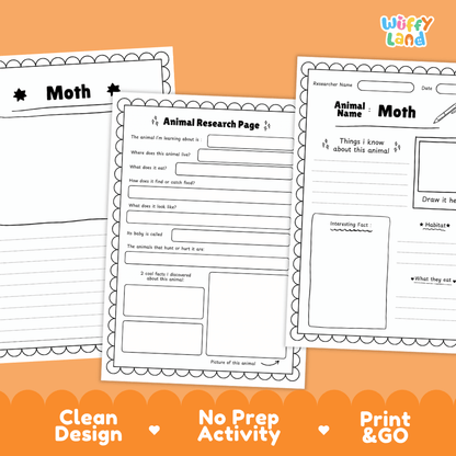 Moth Animal Research Page Worksheets and Fact Sheet Activity