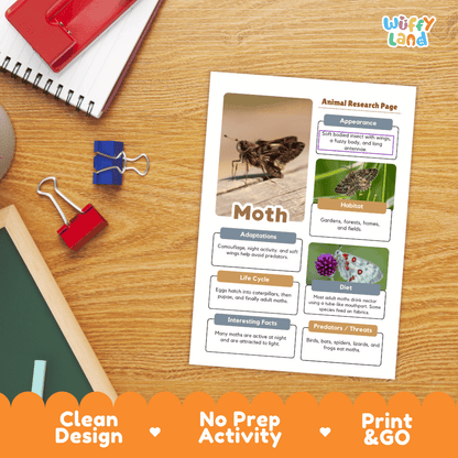 Moth Animal Research Page Worksheets and Fact Sheet Activity