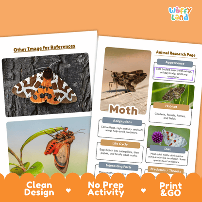 Moth Animal Research Page Worksheets and Fact Sheet Activity