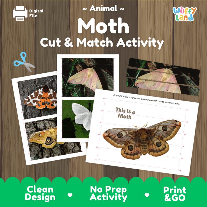 Moth Cut and Match Activity Printables Worksheets