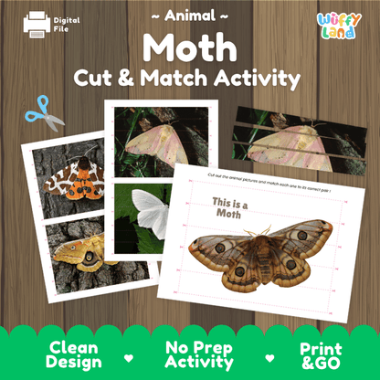 Moth Cut and Match Activity Printables Worksheets