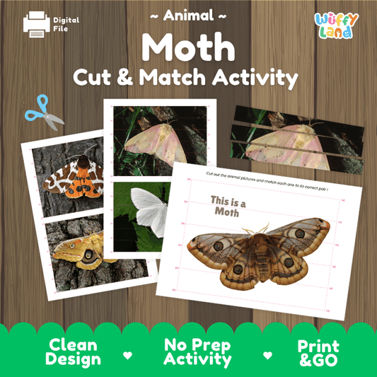 Moth Cut and Match Activity Printables Worksheets