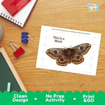 Moth Cut and Match Activity Printables Worksheets