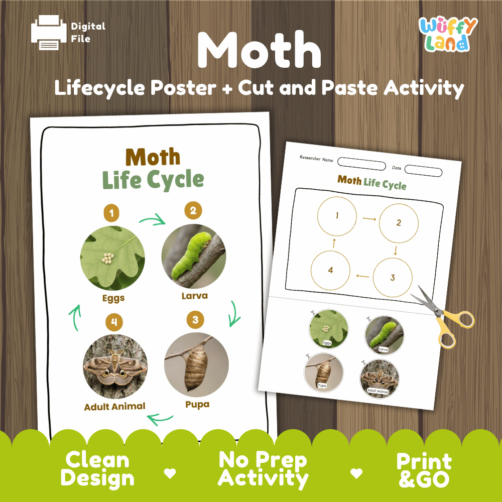 Moth Lifecycle Poster and Cut and Paste Activity Worksheets | Animal Science Printables