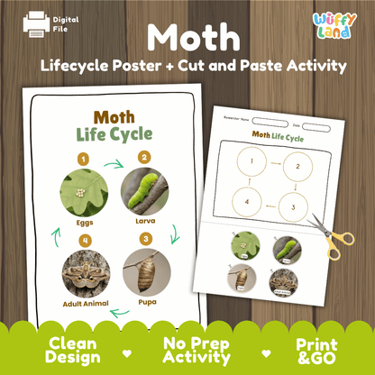 Moth Lifecycle Poster and Cut and Paste Activity Worksheets | Animal Science Printables