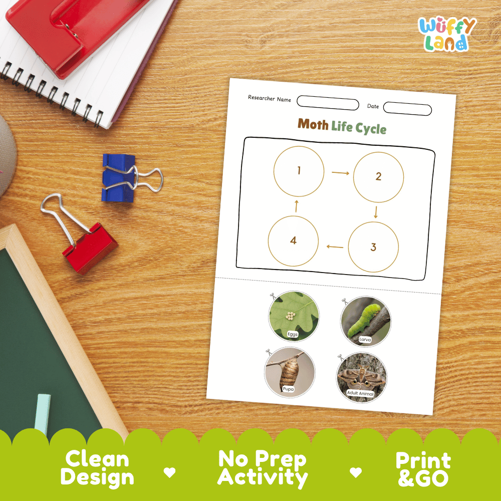 Moth Lifecycle Poster and Cut and Paste Activity Worksheets | Animal Science Printables