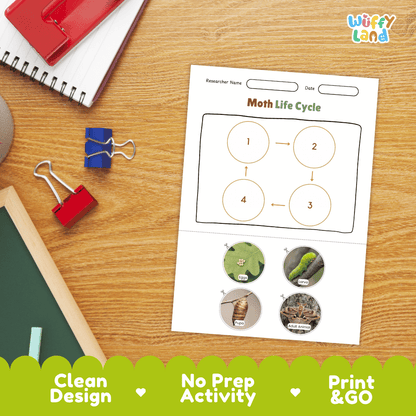 Moth Lifecycle Poster and Cut and Paste Activity Worksheets | Animal Science Printables