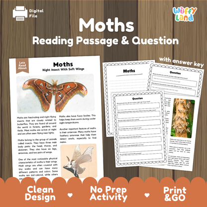 Moths Reading Passage and Comprehension Questions Worksheets