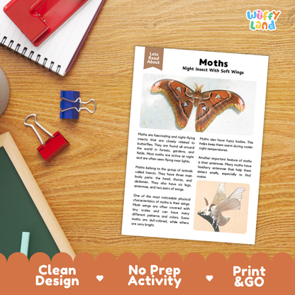 Moths Reading Passage and Comprehension Questions Worksheets