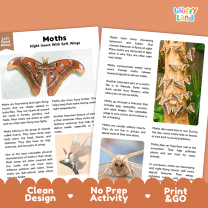 Moths Reading Passage and Comprehension Questions Worksheets