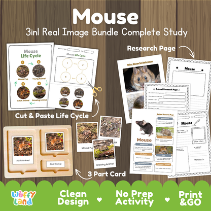 Mouse 3-in-1 real image bundle complete study cover showing cut and paste life cycle, 3 part cards, and research pages