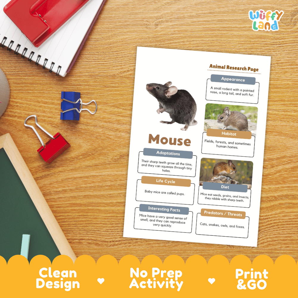 Mouse Animal Research Page Worksheets and Fact Sheet Activity