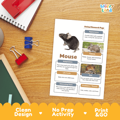 Mouse Animal Research Page Worksheets and Fact Sheet Activity