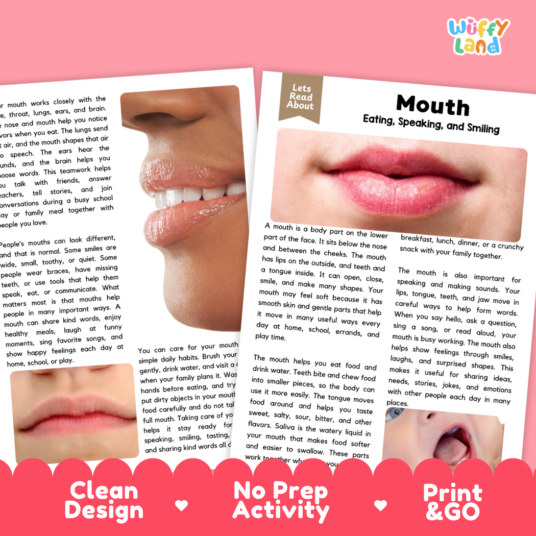 Teacher answer key page showing complete question solutions for Mouth human body reading comprehension practice