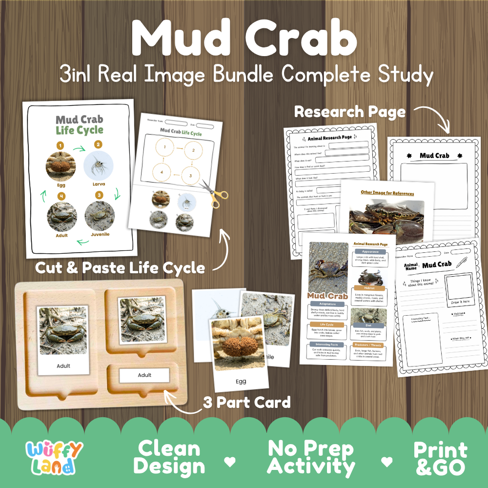 Mud crab 3-in-1 real image bundle complete study cover showing cut and paste life cycle, 3 part cards, and research pages