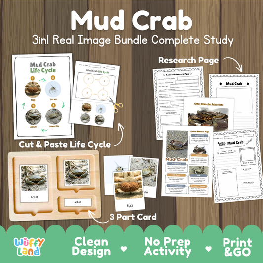 Mud crab 3-in-1 real image bundle complete study cover showing cut and paste life cycle, 3 part cards, and research pages