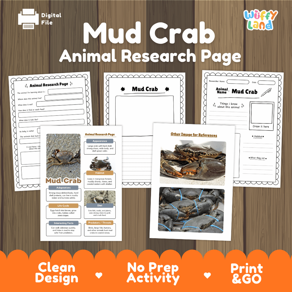 Mud Crab Animal Research Page Worksheets and Fact Sheet