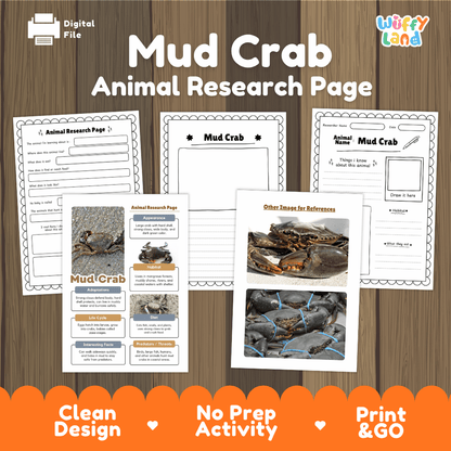 Mud Crab Animal Research Page Worksheets and Fact Sheet