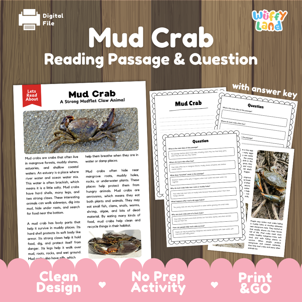 Mud Crab Reading Passage and Questions Worksheets with Answer Key