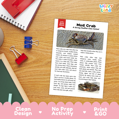 A printed educational activity sheet titled 'Mud Crab' laid on a wooden desk, surrounded by school supplies including a red notebook, blue and red binder clips, and a pencil. The sheet has text, a crab photo, and a 'Let's Read Again!' header.