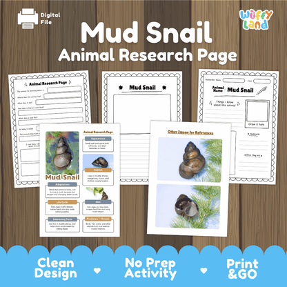Mud Snail Animal Research Page Worksheets and Fact Sheet