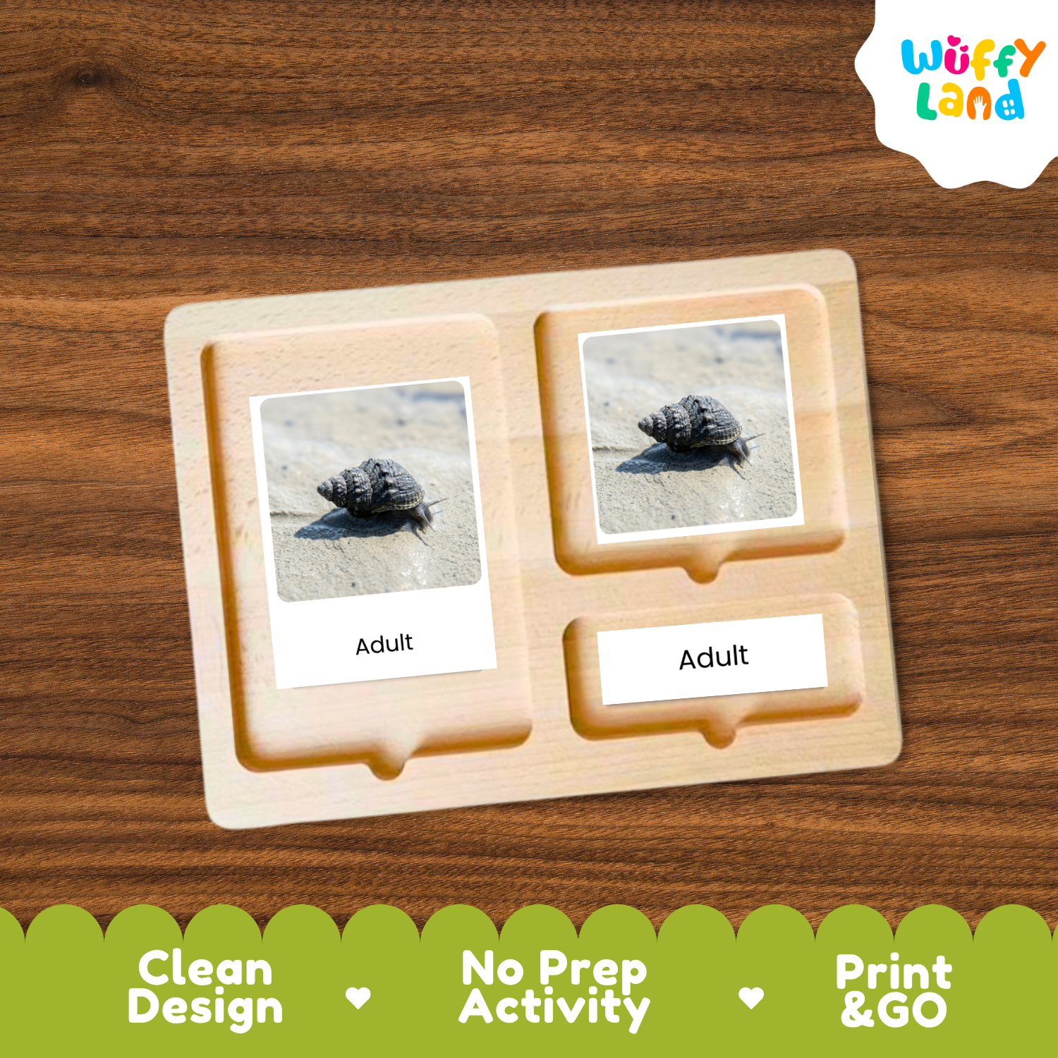 A wooden Montessori-style activity board with two photo slots displaying seashell images labeled 'Adult,' shown on a wood-grain background. A 'Wuffy Land' logo appears in the top right, and a green banner at the bottom reads 'Clean Design,' 'No Prep Activity,' and 'Print & GO.