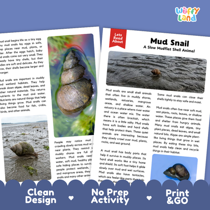 Mud Snail Reading Passage and Questions Worksheets with Answer Key