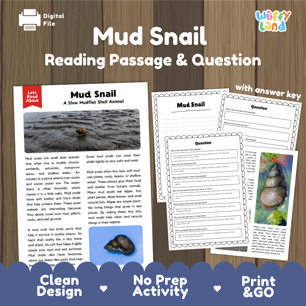 Mud Snail Reading Passage and Questions Worksheets with Answer Key