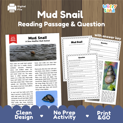 Mud Snail Reading Passage and Questions Worksheets with Answer Key