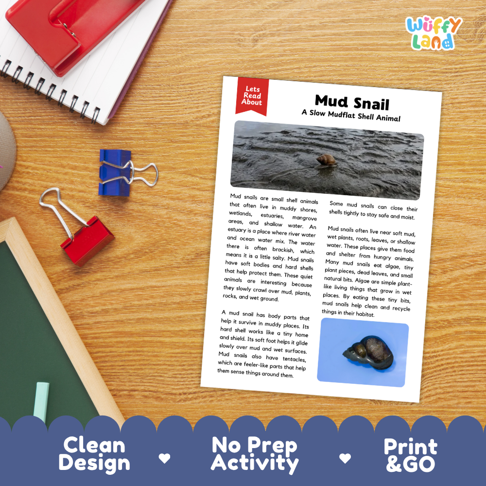 Mud Snail Reading Passage and Questions Worksheets with Answer Key