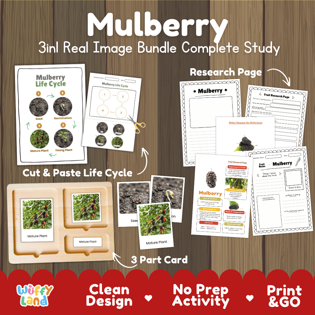 Complete Mulberry 3-in-1 real image study bundle featuring cut and paste worksheets, Montessori 3-part cards, and research pages 🍇🌱