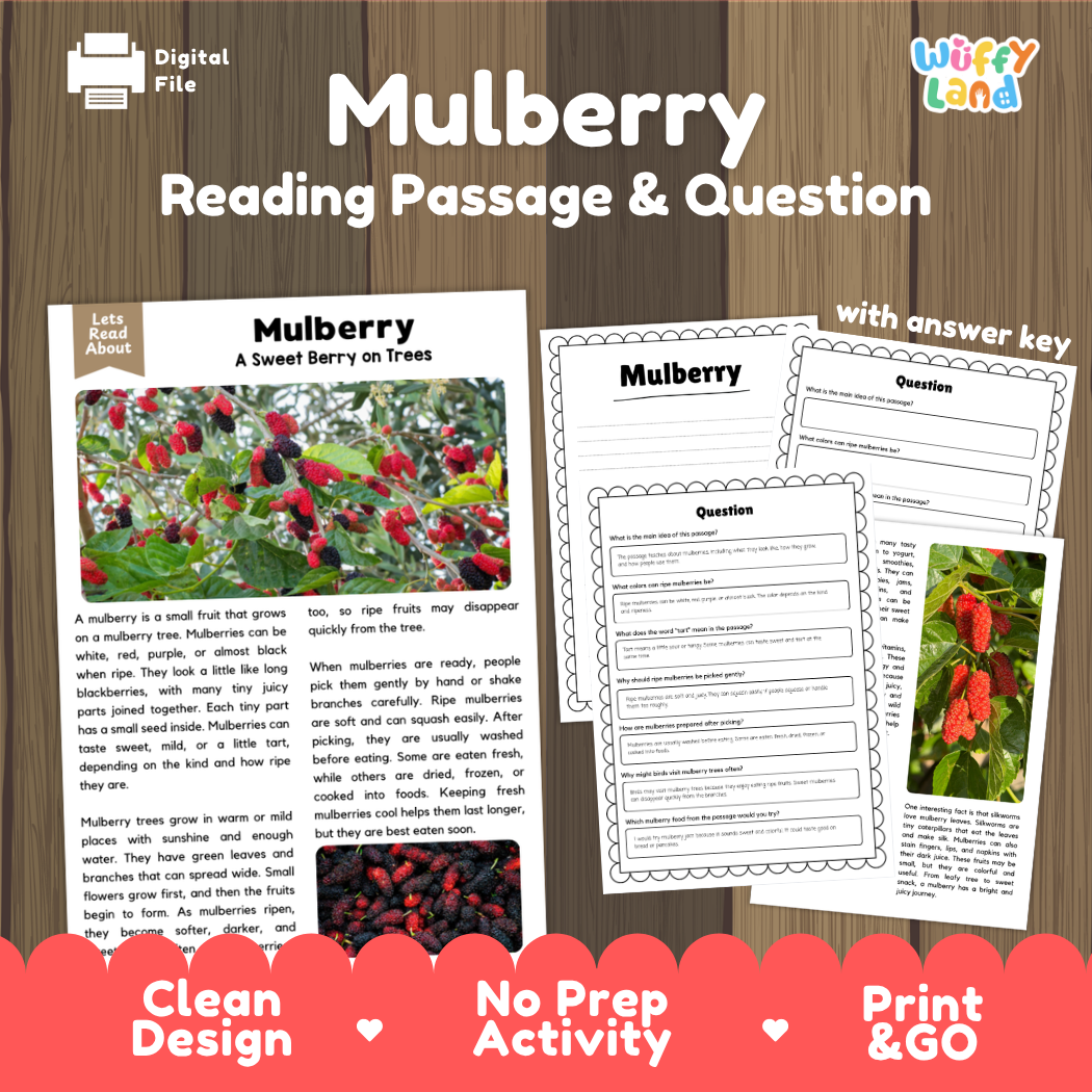 Mulberry reading comprehension passage and questions printable activity pack with answer key for elementary students