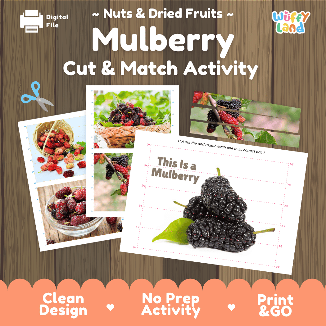 Mulberry Cut and Match Activity Worksheets | Nuts and Dried Fruits Puzzle Printables