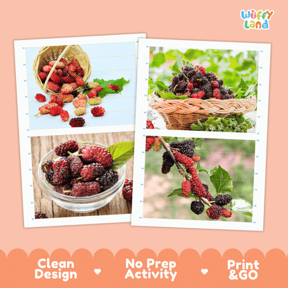 Mulberry Cut and Match Activity Worksheets | Nuts and Dried Fruits Puzzle Printables