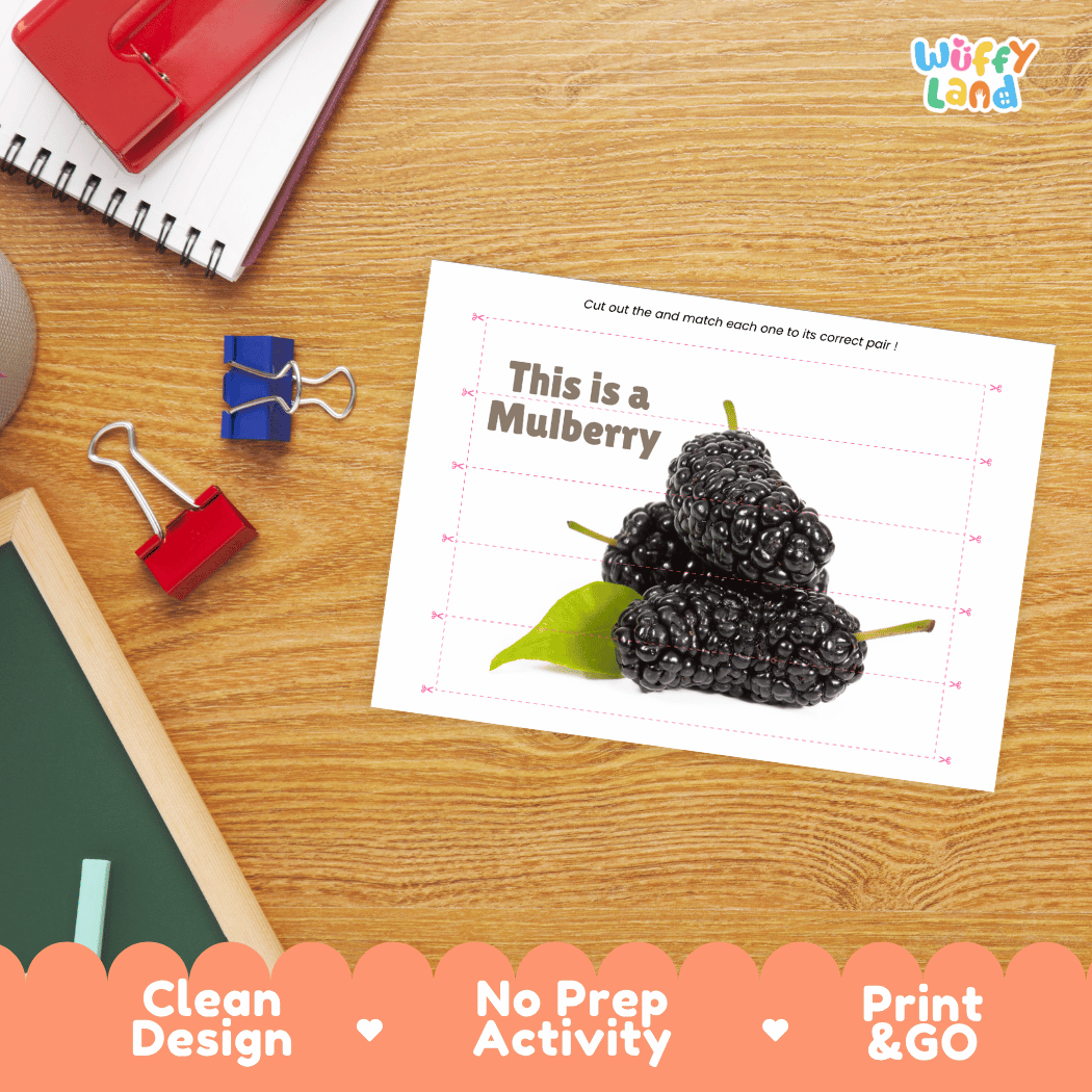 Mulberry Cut and Match Activity Worksheets | Nuts and Dried Fruits Puzzle Printables