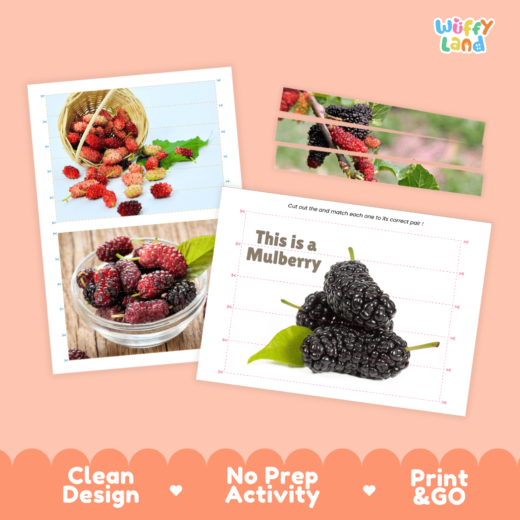 Mulberry Cut and Match Activity Worksheets | Nuts and Dried Fruits Puzzle Printables