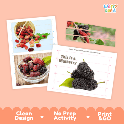 Mulberry Cut and Match Activity Worksheets | Nuts and Dried Fruits Puzzle Printables