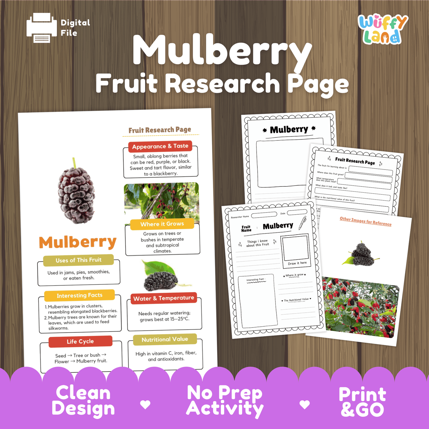 Mulberry Fruit Research Activity Worksheet Science Healthy Eating Plant Life Cycle
