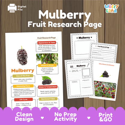 Mulberry Fruit Research Activity Worksheet Science Healthy Eating Plant Life Cycle