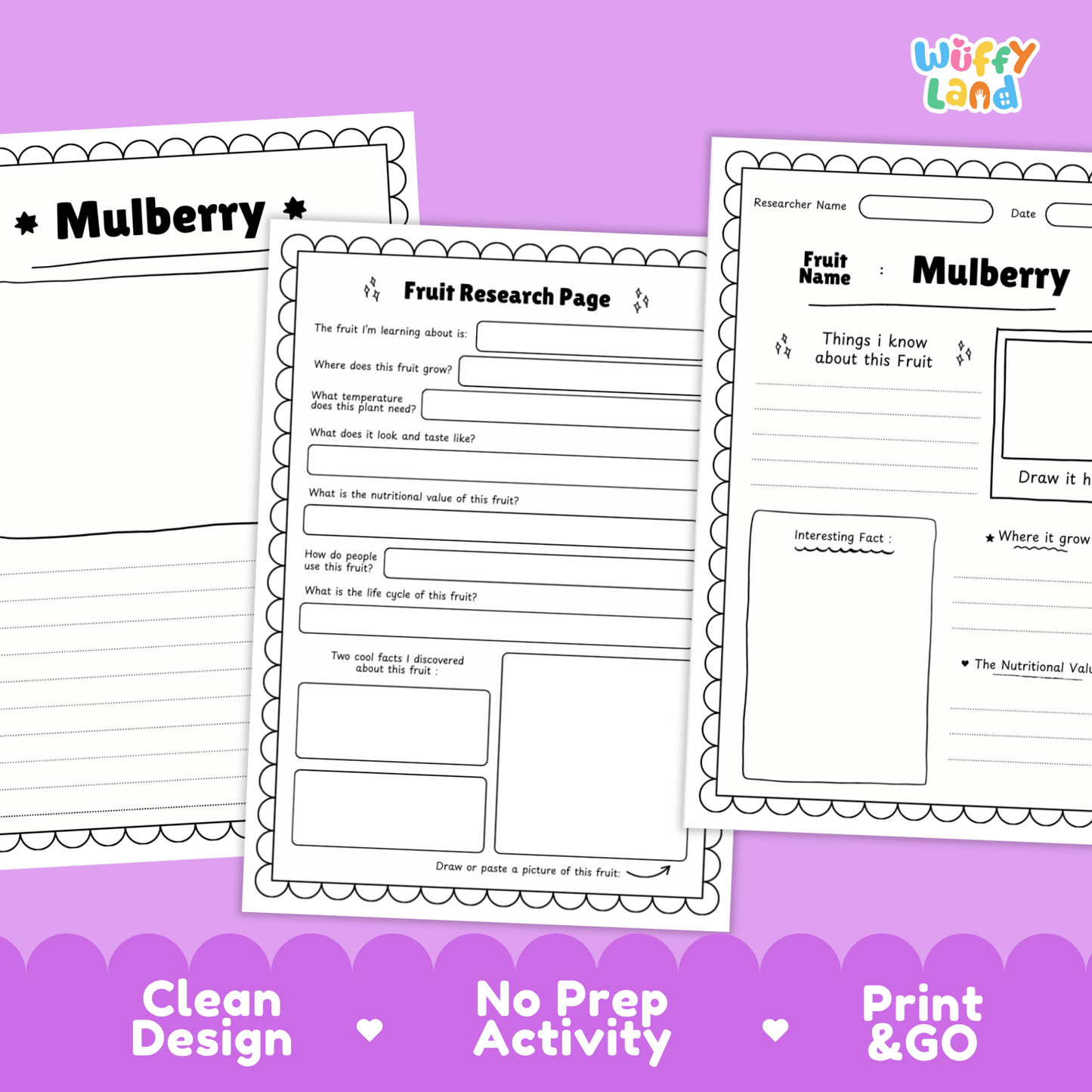 Mulberry Fruit Research Activity Worksheet Science Healthy Eating Plant Life Cycle