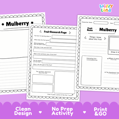 Mulberry Fruit Research Activity Worksheet Science Healthy Eating Plant Life Cycle