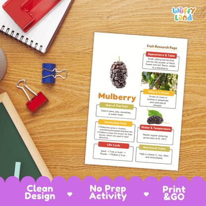Mulberry Fruit Research Activity Worksheet Science Healthy Eating Plant Life Cycle