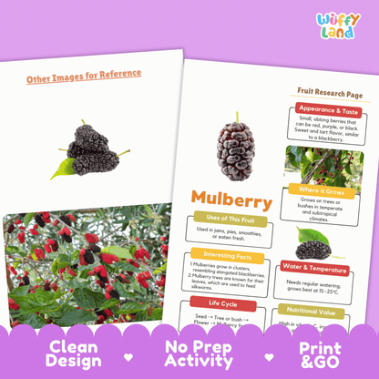 Mulberry Fruit Research Activity Worksheet Science Healthy Eating Plant Life Cycle