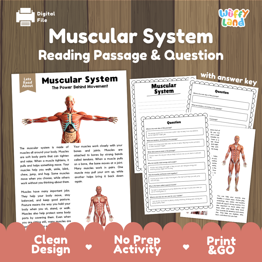 Muscular system reading comprehension passage and questions printable activity pack with answer key for elementary students